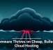Ransomware Thrives on Cheap, Bulletproof Cloud Hosting